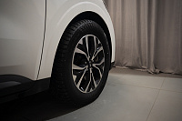KIA Carnival- Миниатюра фото 6